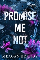 Promise me not - Meagan Brandy