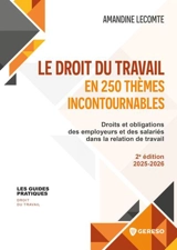 Le droit du travail en 250 thèmes incontournables : droits et obligations des employeurs et des salariés dans la relation de travail - Amandine Lecomte