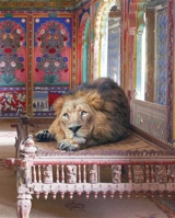 Fables et autres contes. Fables and other stories - Karen Knorr