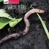 Le ver de terre - Léa Schneider