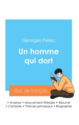 Réussir son Bac de français 2024 : Analyse du roman Un homme qui dort de Georges Perec - Georges Perec
