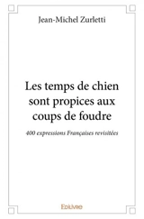 Les temps de chien sont propices aux coups de foudre : 400 expressions Françaises revisitées - Jean-Michel Zurletti
