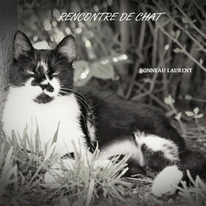 Rencontre de chat - Laurent Bonneau