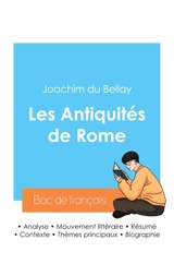 Réussir son Bac de français 2024 : Analyse des Antiquités de Rome de Joachim du Bellay - Joachim Du Bellay