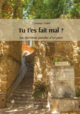 Tu t'es fait mal ? : Les dernières paroles d'un père - Christian Soleil