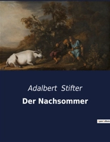Der Nachsommer : Einblicke in das Leben und die Entwicklung eines jungen Mannes im 19. Jahrhundert - Adalbert Stifter