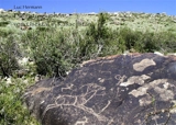 Die Petroglyphen vom Usektal in Kasachstan - Luc Hermann