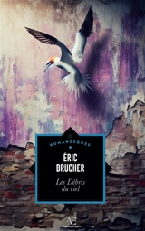 Les Débris du ciel - Eric Brucher