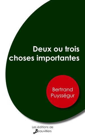 Deux ou trois choses importantes - Bertrand Puysségur
