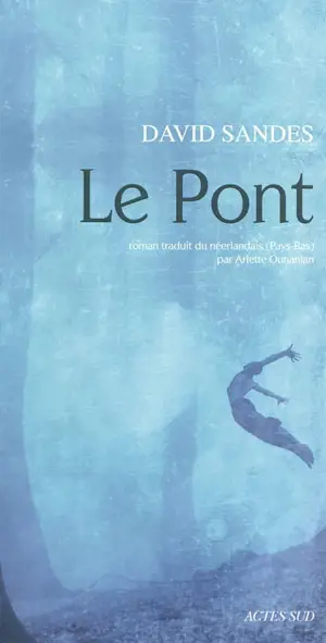 Le pont - David Sandes