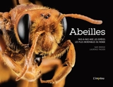 Abeilles : face-à-face avec les espèces les plus incroyables du monde - Sam Droege
