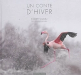 Un conte d'hiver - Thierry Vezon