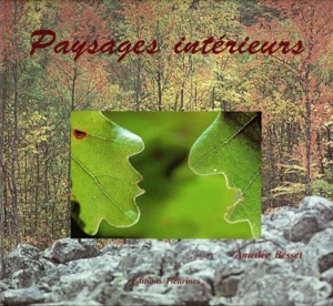 Paysages intérieurs - Amédée Besset