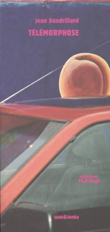 Télémorphose. L'élevage de poussière - Jean Baudrillard