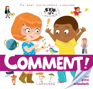Comment ? - Sophie de Mullenheim