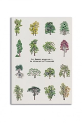 Arbres admirables des jardins de Versailles