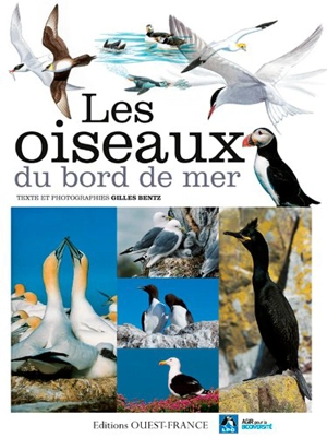 Les oiseaux du bord de mer - Gilles Bentz
