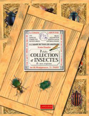Petite collection d'insectes de nos régions - Sonia Dourlot