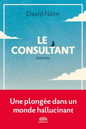 Le consultant - David Naïm