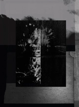 One millimeter of black dirt and a veil of dead cows - Vincent Jendly