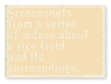 Screenshots from a series of videos about a rice field and its surroundings - Cintia Tortosa Santisteban