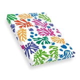 Matisse, La perruche et la sirène