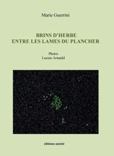 Brins d'herbe entre les lames du plancher - Marie Guerrini