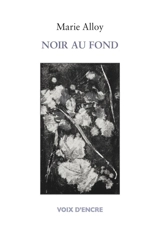 Noir au fond - Marie Alloy
