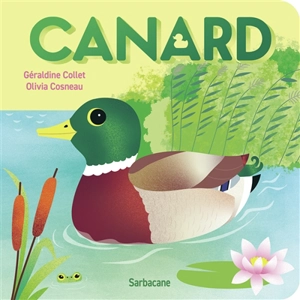 Canard - Géraldine Collet