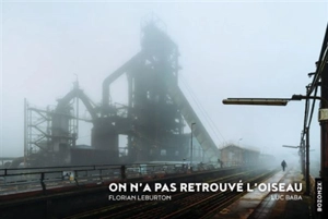 On n'a pas retrouvé l'oiseau - Luc Baba