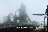 On n'a pas retrouvé l'oiseau - Luc Baba