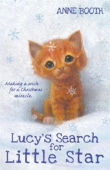 Lucy's Search for Little Star - Anne Booth