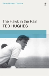 Hawk in the Rain - Ted Hughes
