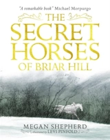 The Secret Horses of Briar Hill - Megan Shepherd