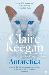 Antarctica - Claire Keegan