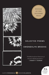 Selected Poems - Gwendolyn Brooks