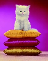 Chromotherapia - Maurizio Cattelan