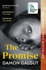 The Promise - Damon Galgut