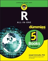 R All-In-One for Dummies - Joseph Schmuller