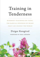 Training in Tenderness - Dzigar Kongtrül