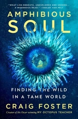 Amphibious Soul : Finding the Wild in a Tame World - Craig Foster