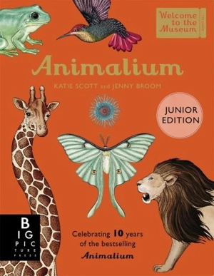 Animalium (Junior Edition) - Jenny Broom