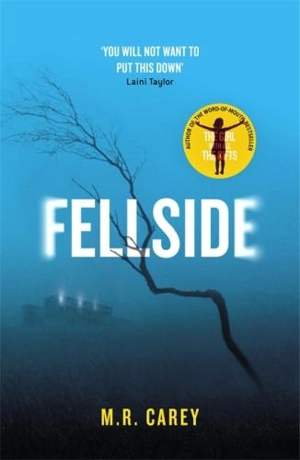 Fellside - Carey, M. R.