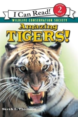Amazing Tigers - Sarah L. Thomson