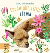 Goodnight, Little Llama : A book about being a good friend - Amanda Jane Wood