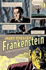Frankenstein - Shelley, Mary