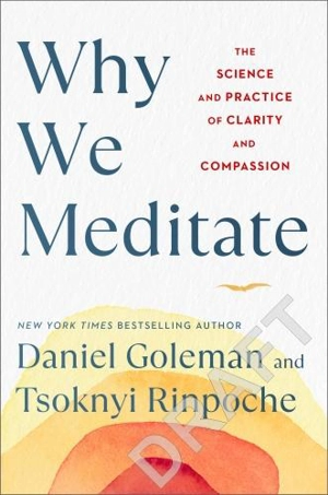 Why We Meditate : 7 Simple Practices for a Calmer Mind - Daniel Goleman