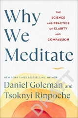 Why We Meditate : 7 Simple Practices for a Calmer Mind - Daniel Goleman