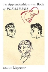 An Apprenticeship, or The Book of Pleasures - Clarice Lispector