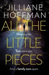 All the Little Pieces - Hoffman, Jilliane P.
